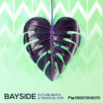 Bayside - Future Beats & Tropical Pop