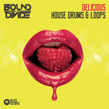 Black Octopus Sound - Delicious House Drums & Loops